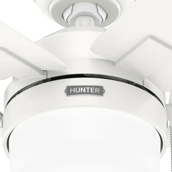 Anisten ENERGY STAR with LED Light 52 inch - Image 24