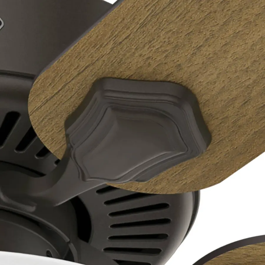 Swanson ENERGY STAR with LED Bowl 44 inch - Image 34