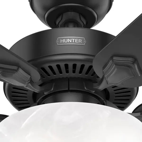 Swanson ENERGY STAR with LED Bowl 44 inch - Image 35