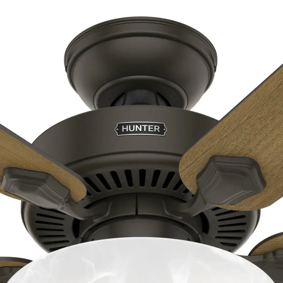 Swanson ENERGY STAR with LED Bowl 44 inch - Image 37