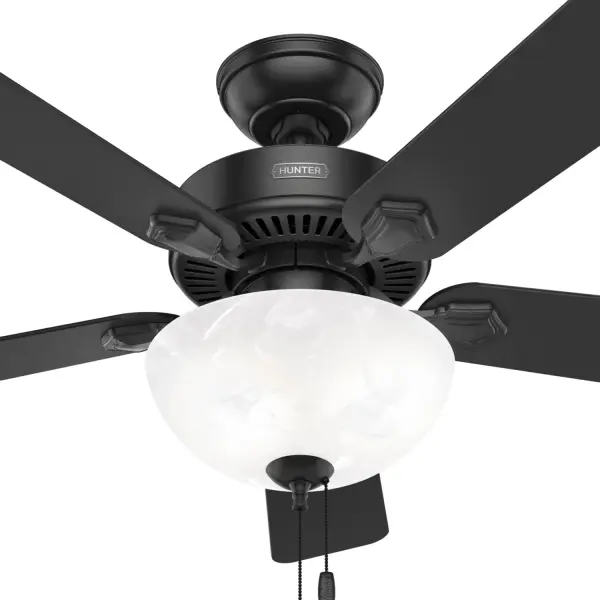 Swanson ENERGY STAR with LED Bowl 44 inch - Image 38