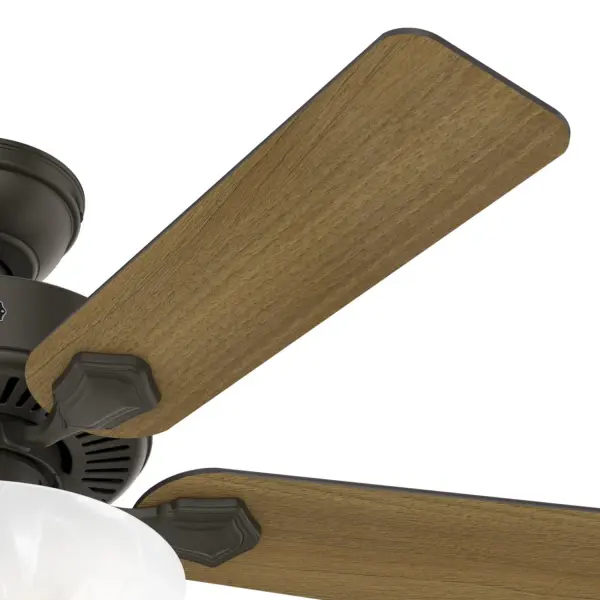 Swanson ENERGY STAR with LED Bowl 44 inch - Image 43