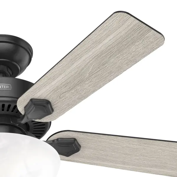 Swanson ENERGY STAR with LED Bowl 44 inch - Image 44