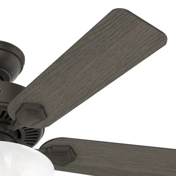 Swanson ENERGY STAR with LED Bowl 44 inch - Image 46