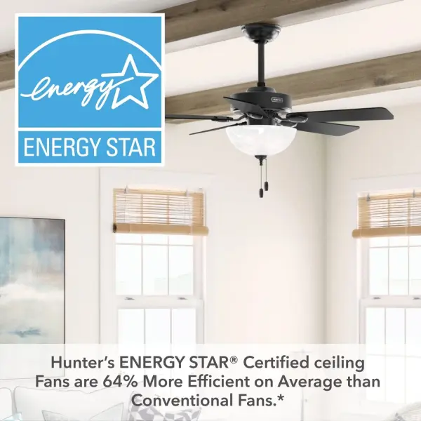 Swanson ENERGY STAR with LED Bowl 44 inch - Image 50