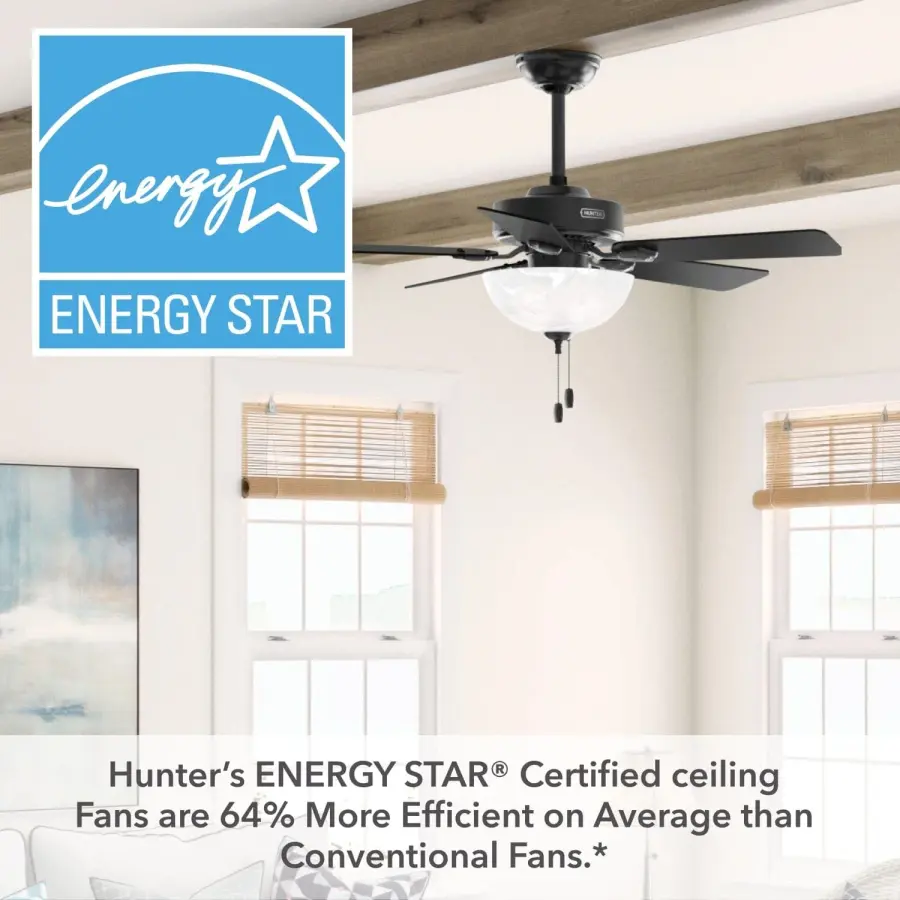 Swanson ENERGY STAR with LED Bowl 44 inch - Image 50