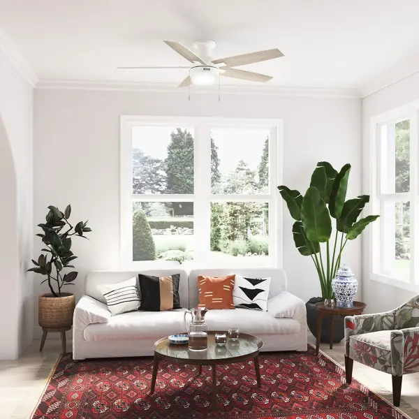 Anisten Low Profile with LED Light 52 inch - Image 11