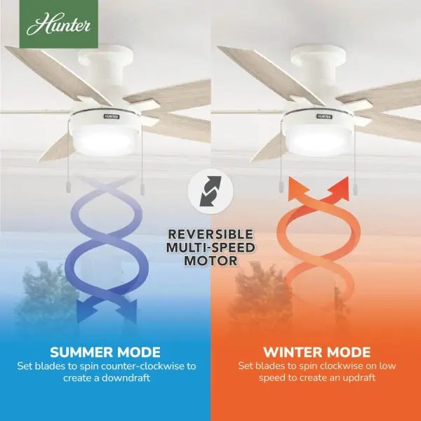 Anisten Low Profile with LED Light 52 inch - Image 14