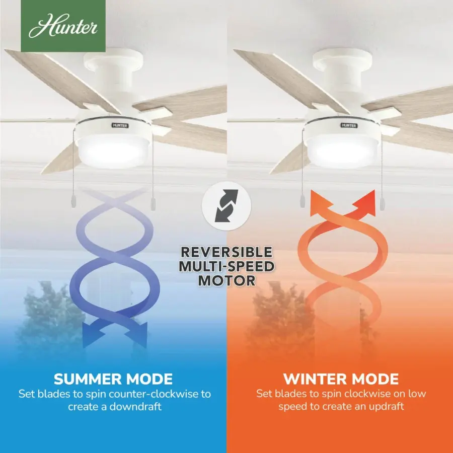 Anisten Low Profile with LED Light 52 inch - Image 14