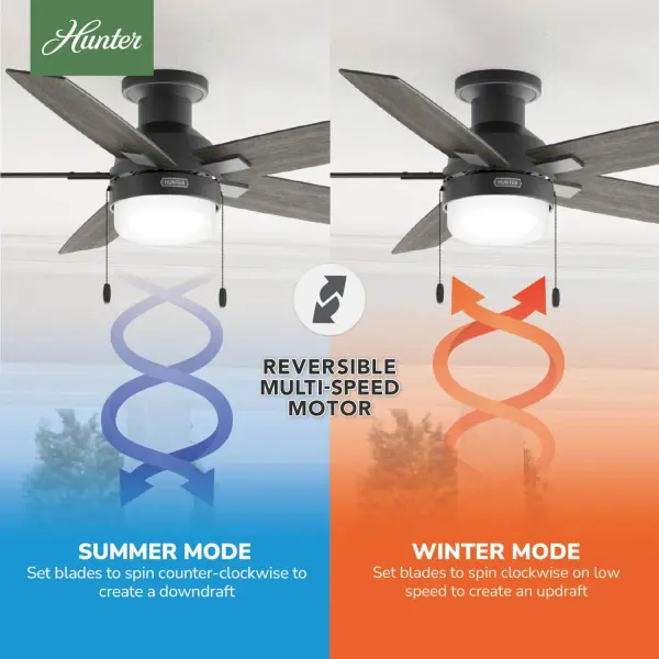 Anisten Low Profile with LED Light 52 inch - Image 15