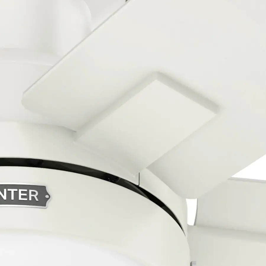 Anisten Low Profile with LED Light 52 inch - Image 22