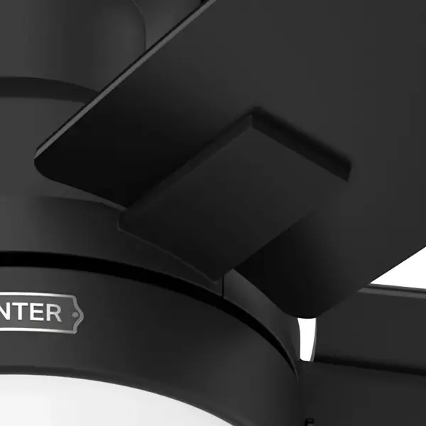 Anisten Low Profile with LED Light 52 inch - Image 23