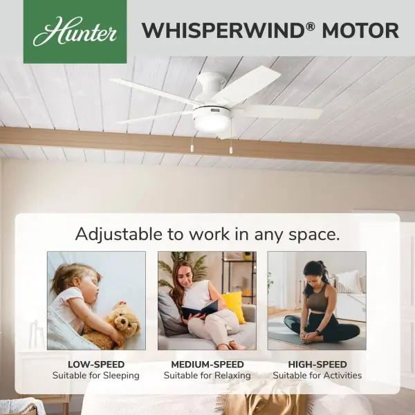 Anisten Low Profile with LED Light 52 inch - Image 34