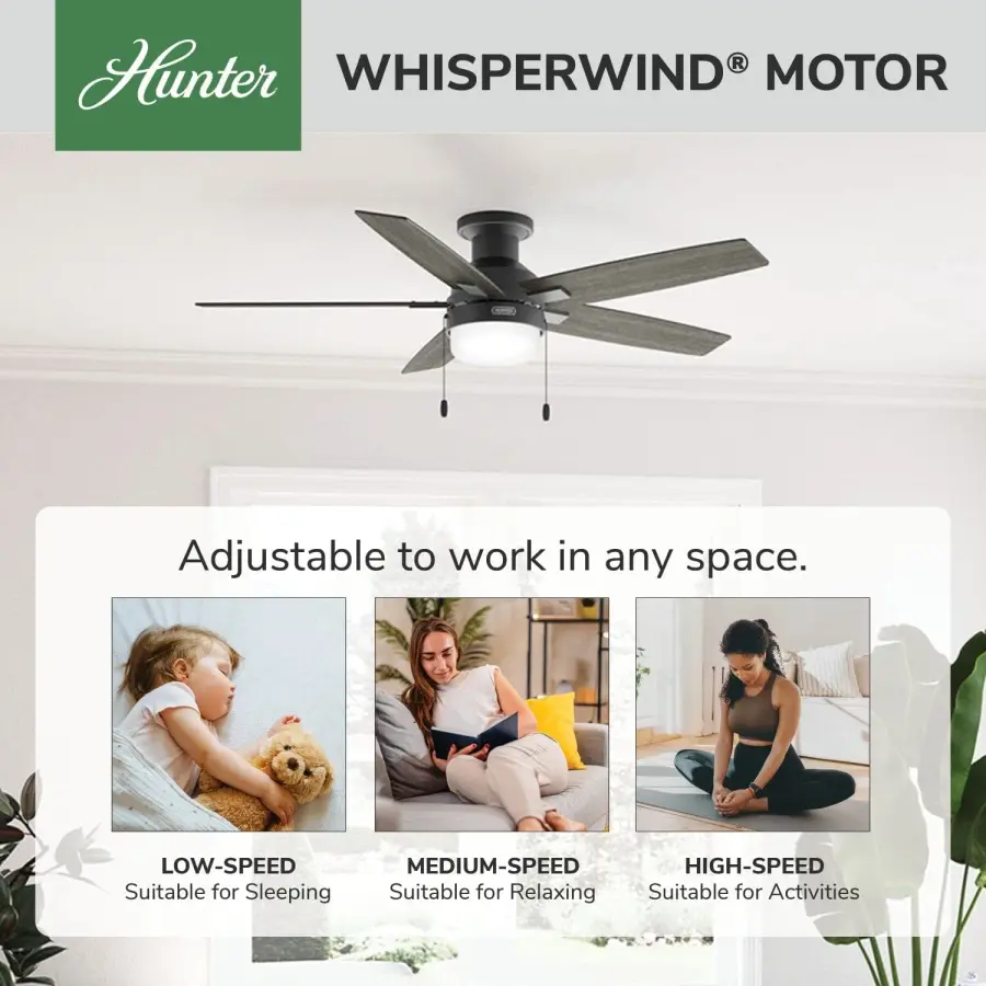 Anisten Low Profile with LED Light 52 inch - Image 35