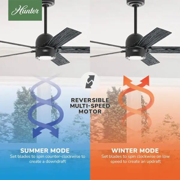 Erling ENERGY STAR with LED Light 52 inch - Image 17