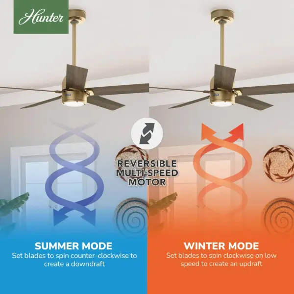 Erling ENERGY STAR with LED Light 52 inch - Image 18