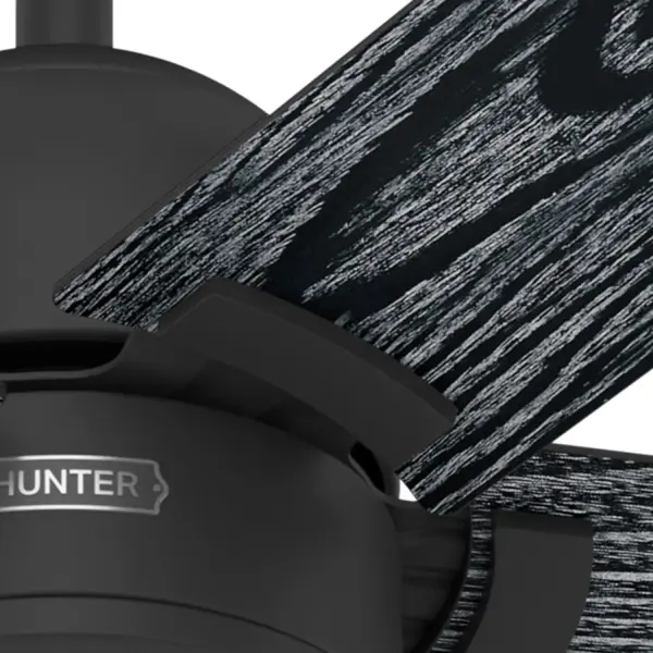 Erling ENERGY STAR with LED Light 52 inch - Image 32