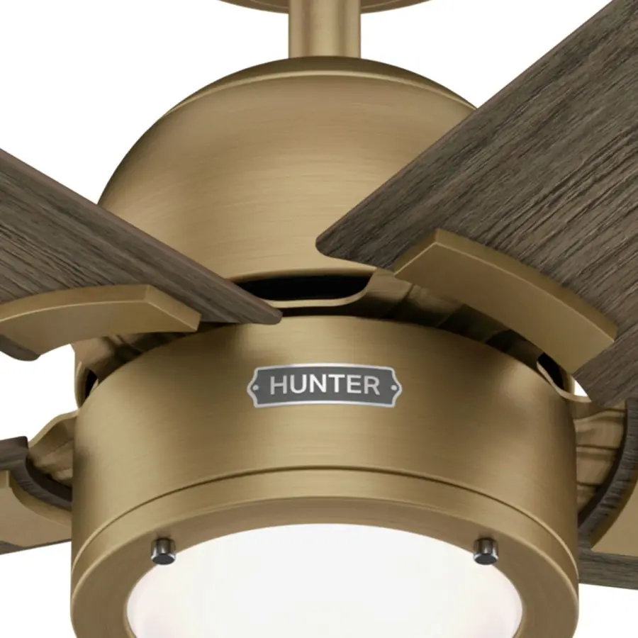 Erling ENERGY STAR with LED Light 52 inch - Image 37