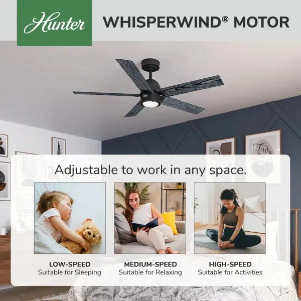 Erling ENERGY STAR with LED Light 52 inch - Image 53