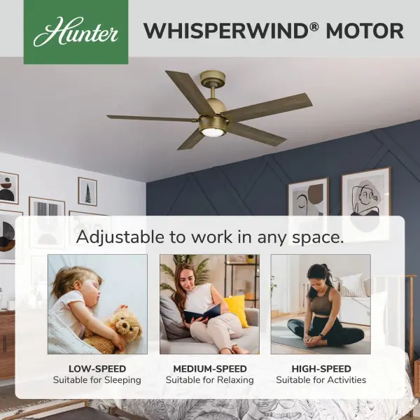 Erling ENERGY STAR with LED Light 52 inch - Image 55