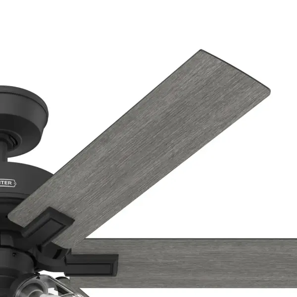 Fonthill Indoor HunterExpress with LED Light 52 inch with remote - Image 46