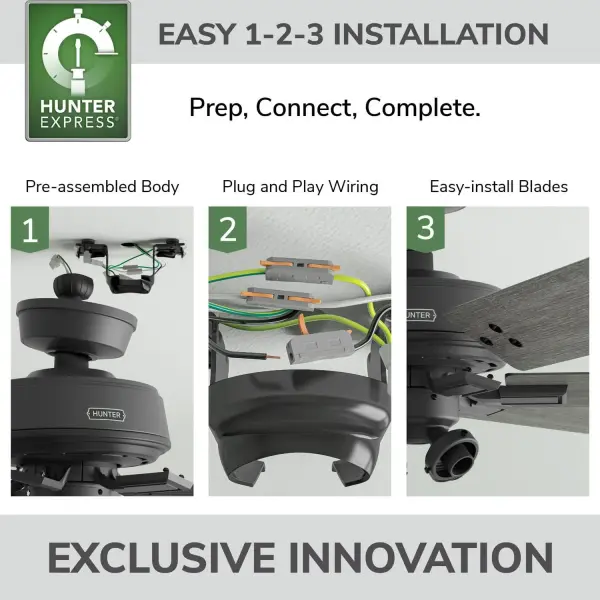 Fonthill Indoor HunterExpress with LED Light 52 inch with remote - Image 6