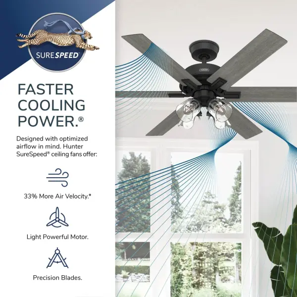 Fonthill Indoor HunterExpress with LED Light 52 inch with remote - Image 61