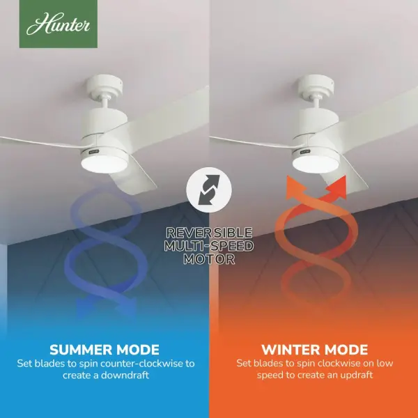 Bolsa with LED Light 52 inch - Image 12