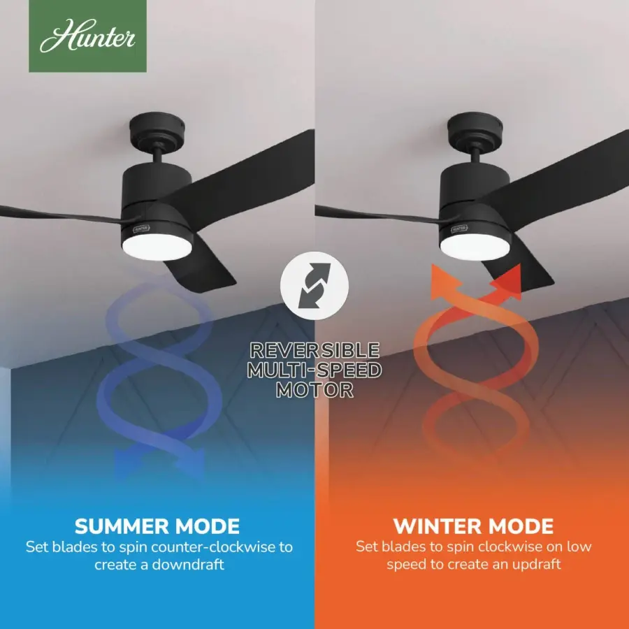 Bolsa with LED Light 52 inch - Image 13