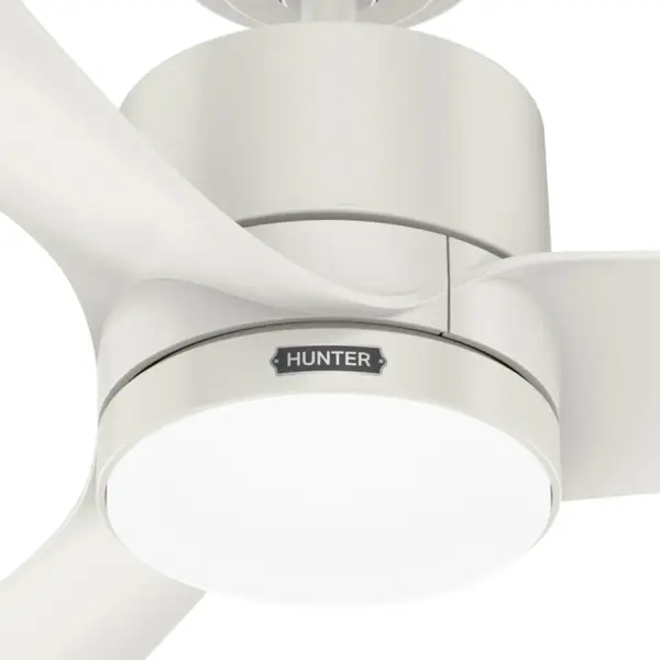 Bolsa with LED Light 52 inch - Image 20