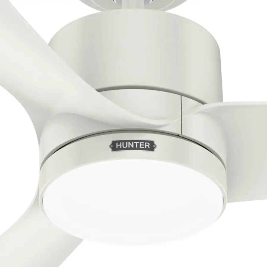 Bolsa with LED Light 52 inch - Image 20