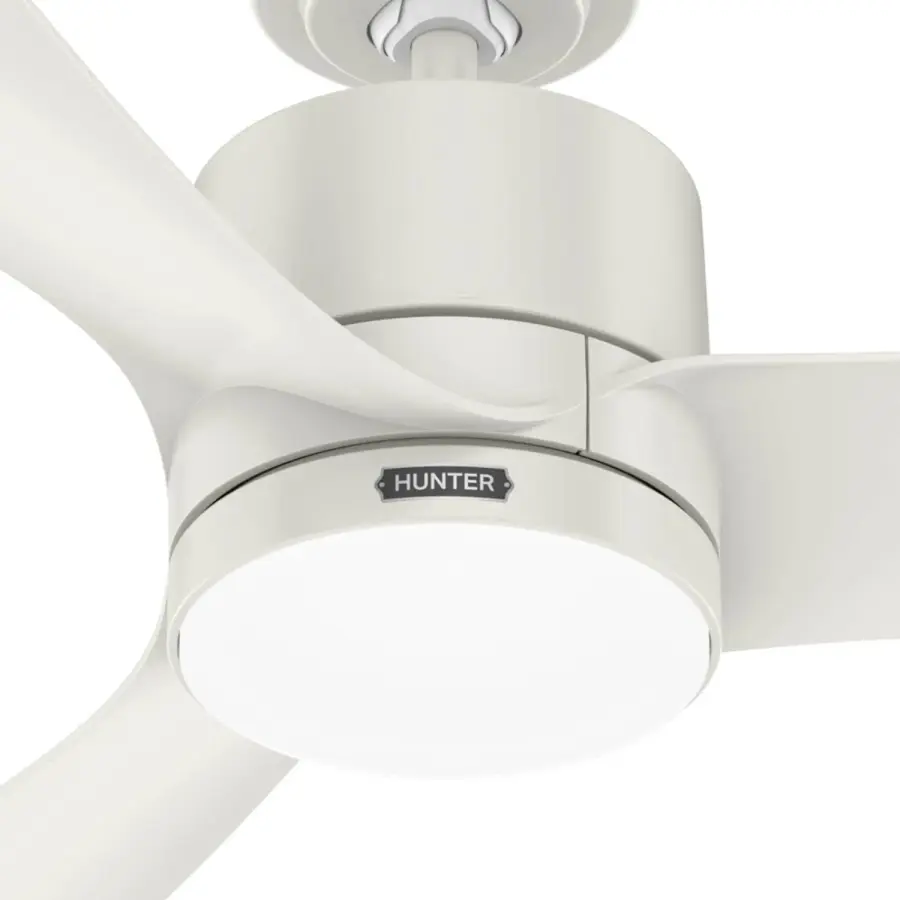 Bolsa with LED Light 52 inch - Image 26