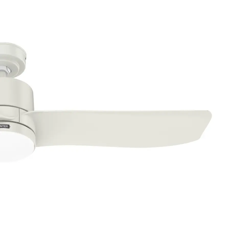 Bolsa with LED Light 52 inch - Image 28