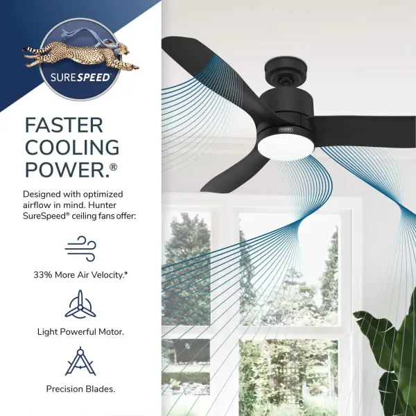 Bolsa with LED Light 52 inch - Image 32