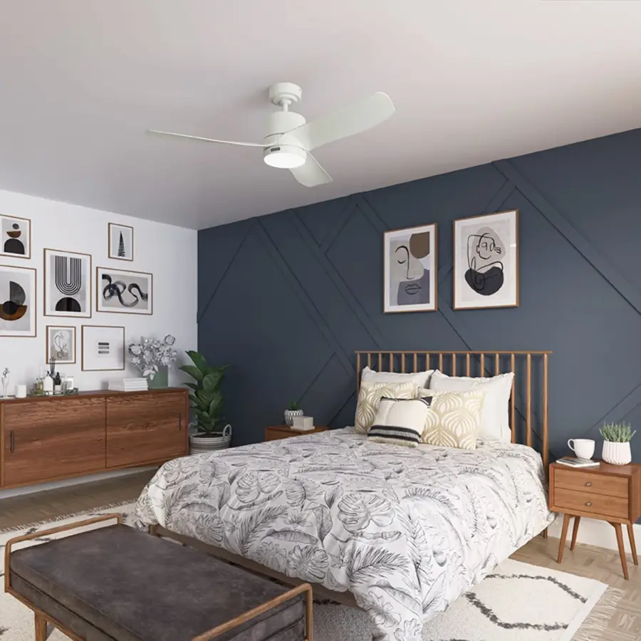 Bolsa with LED Light 52 inch - Image 5