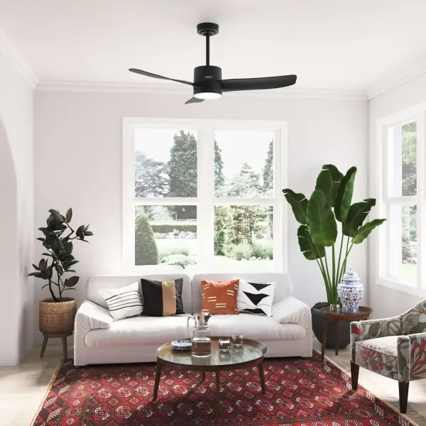 Bolsa with LED Light 52 inch - Image 10