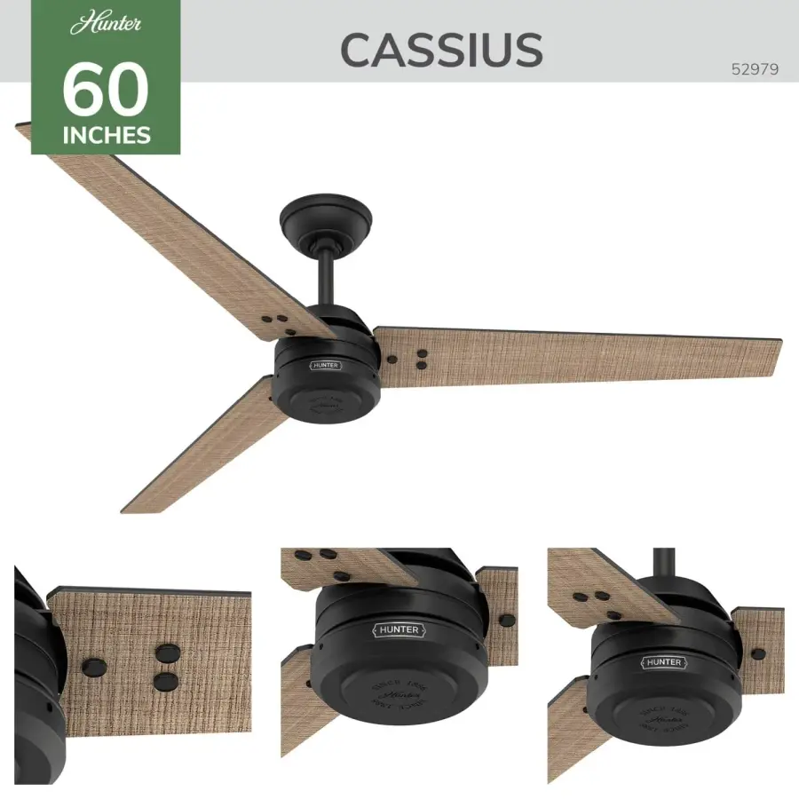 Cassius Outdoor ENERGY STAR 60 inch - Image 11
