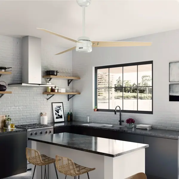 Cassius Outdoor ENERGY STAR 60 inch - Image 24