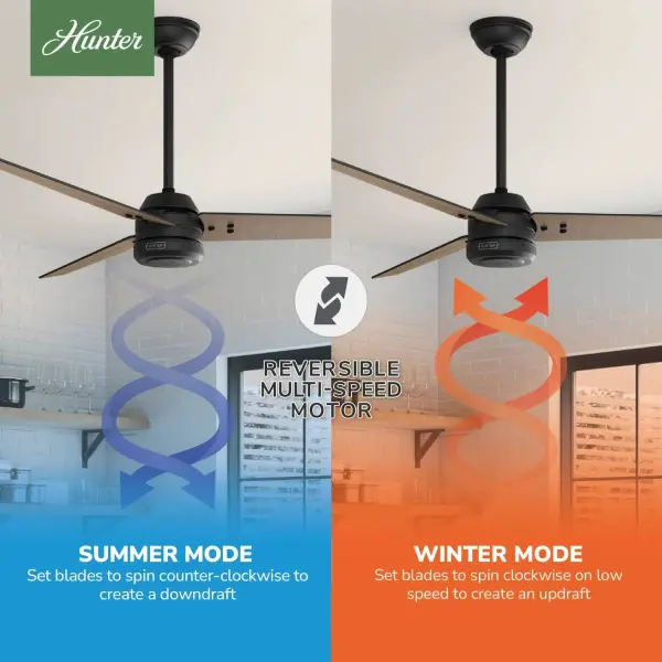 Cassius Outdoor ENERGY STAR 60 inch - Image 28