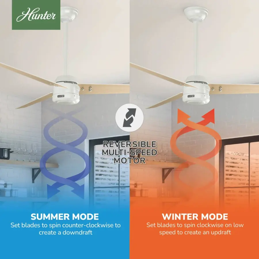 Cassius Outdoor ENERGY STAR 60 inch - Image 29