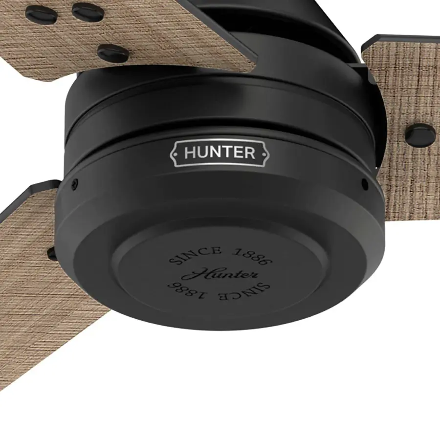 Cassius Outdoor ENERGY STAR 60 inch - Image 44