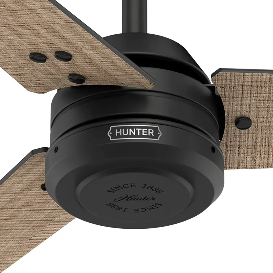 Cassius Outdoor ENERGY STAR 60 inch - Image 52