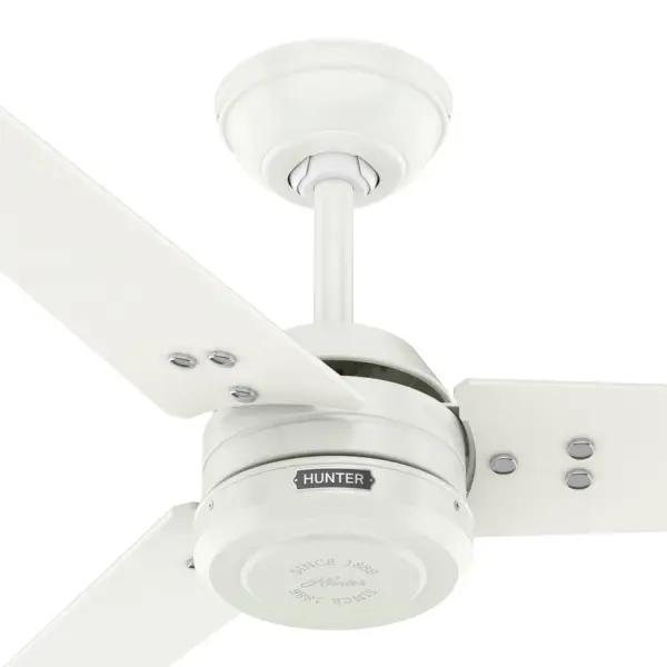 Cassius Outdoor ENERGY STAR 60 inch - Image 57