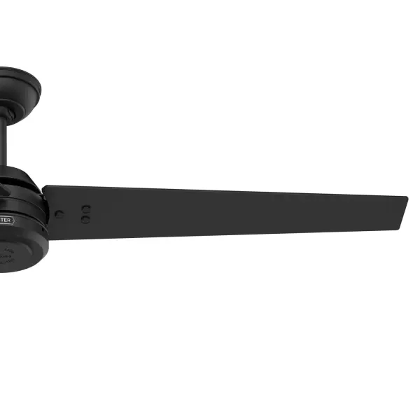 Cassius Outdoor ENERGY STAR 60 inch - Image 64