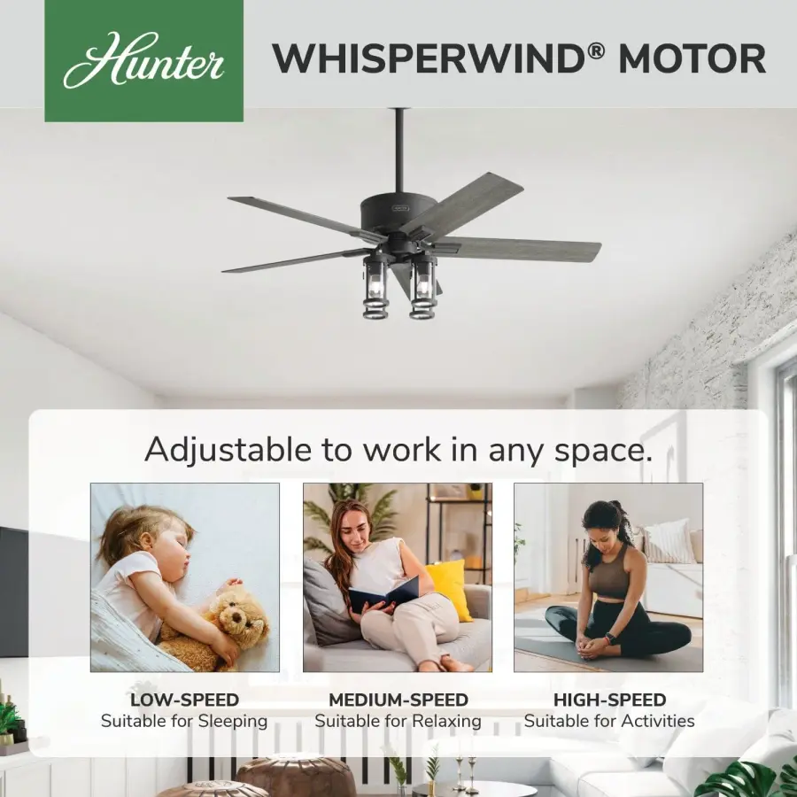 Astwood II Indoor with LED Light 52 inch with remote - Image 37