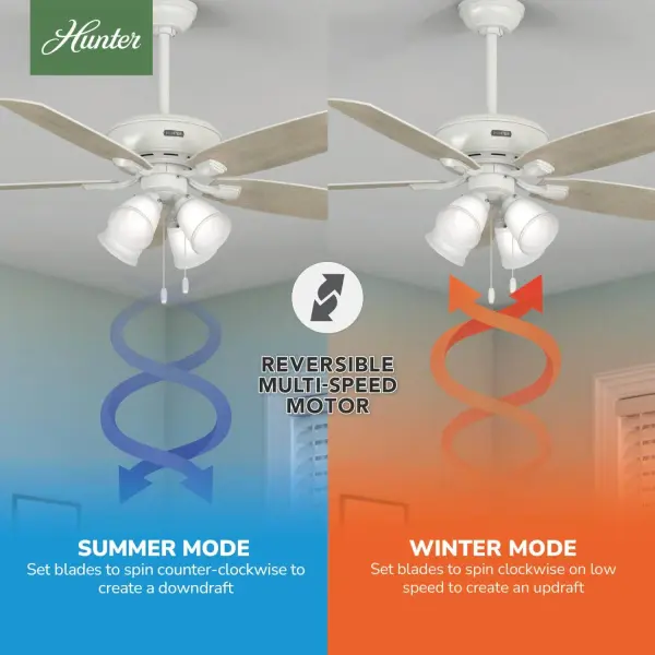 Amberlin with 4 LED Lights 52 inch - Image 16