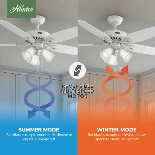 Builder Plus with 3 Lights 52 inch - Image 29