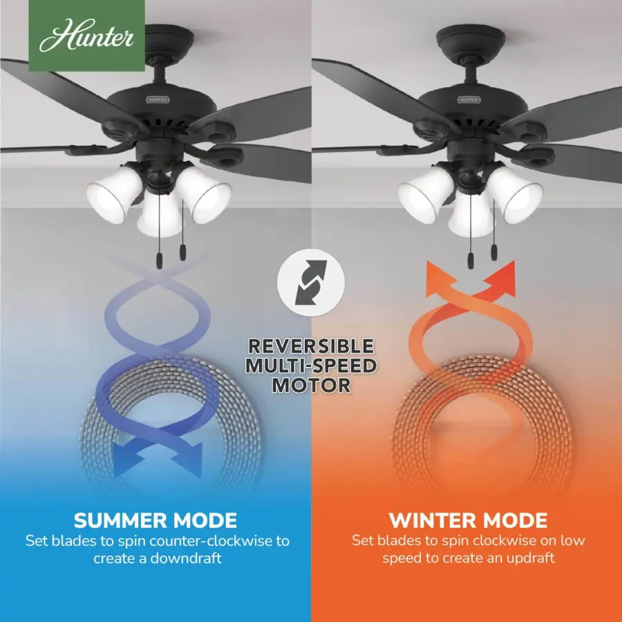 Builder Plus with 3 Lights 52 inch - Image 32