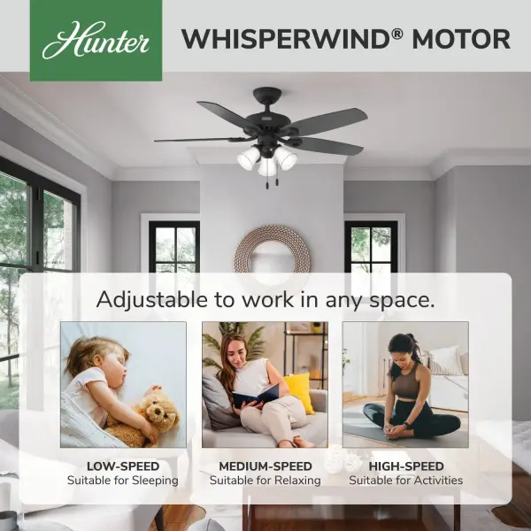 Builder Plus with 3 Lights 52 inch - Image 89