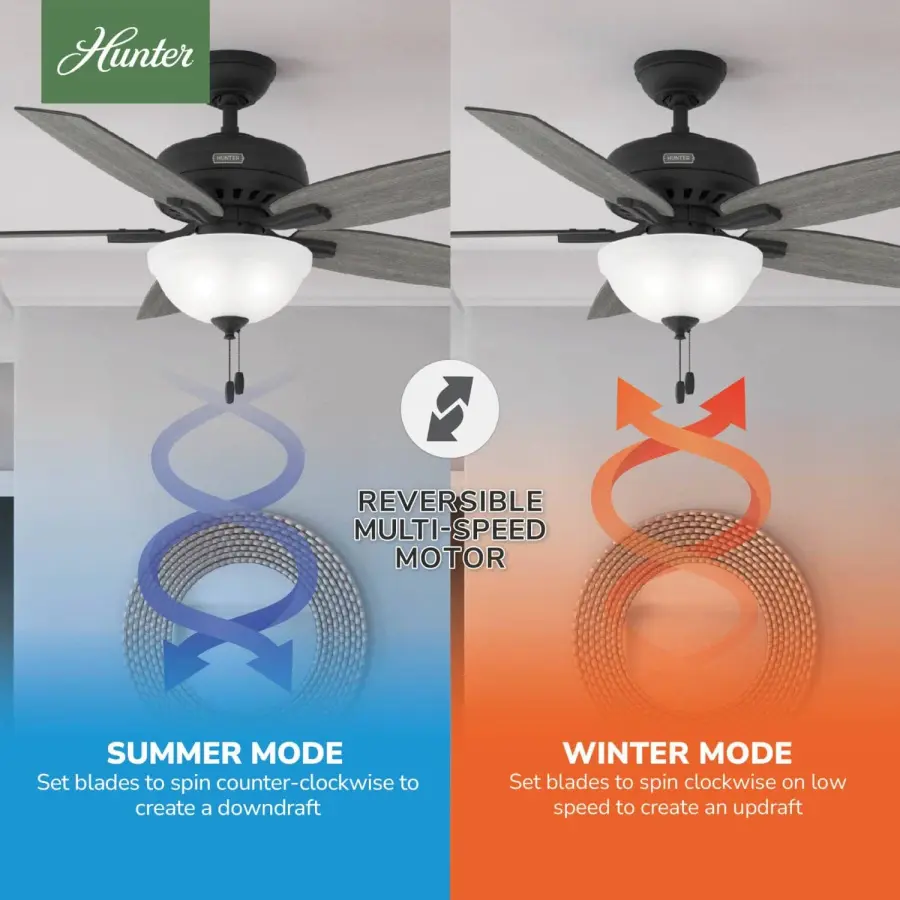 Newsome with Light 52 inch - Image 22